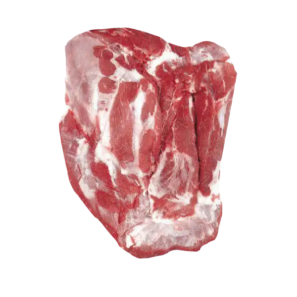 DANA KOL (KEMiKSİZ )